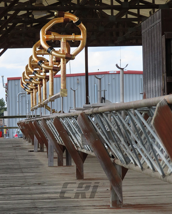 387207735_833701145424898_6834815536714538063_n